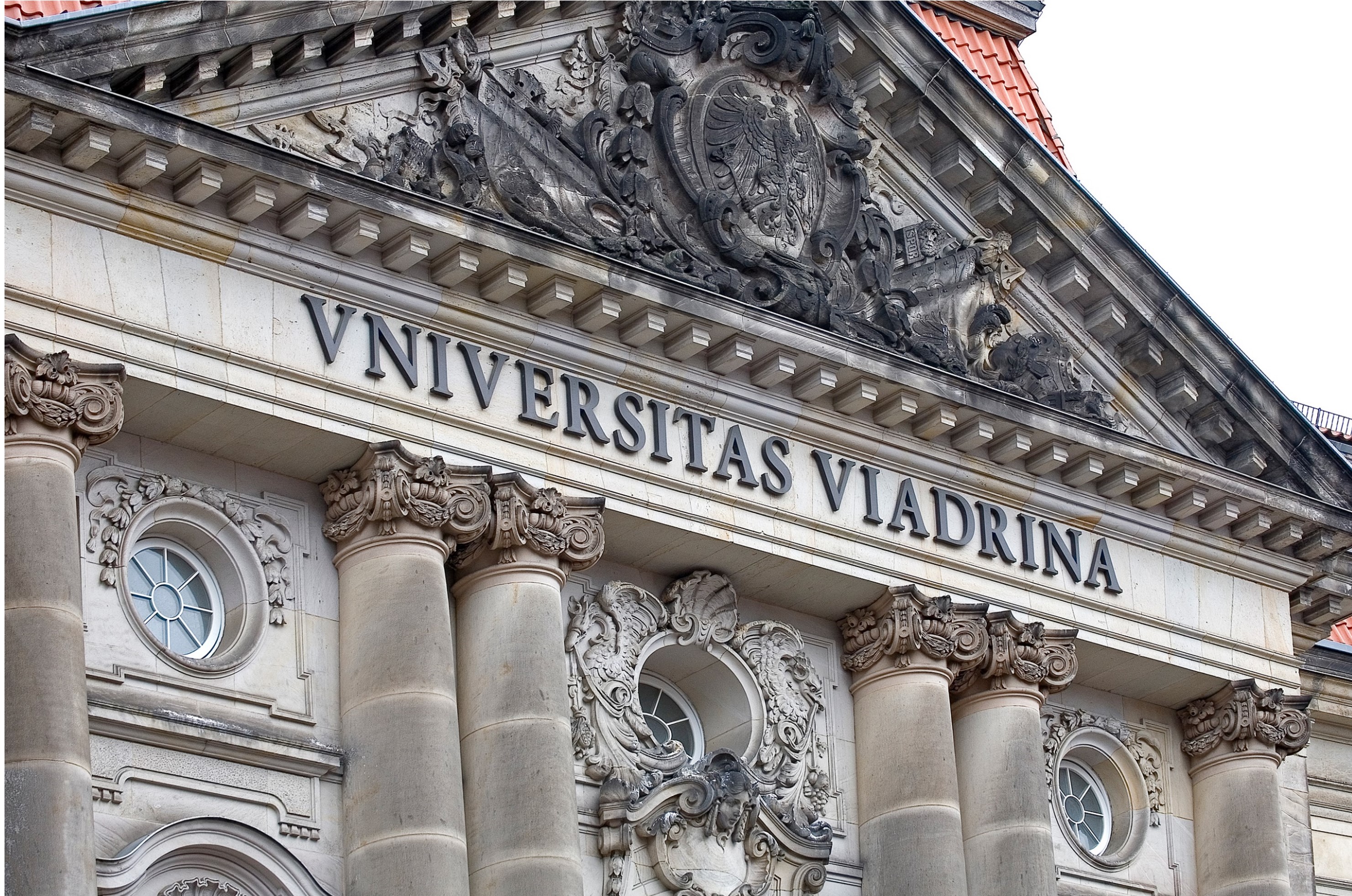 Course Image Viadrina Applied Peace And Conflict Studies (ViAPACS)